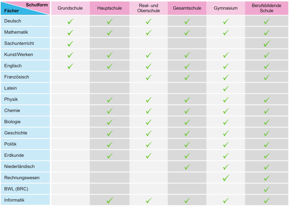 Professionelle Schulfit Nachhilfeangebote Unterrichtsfächer, Jahrgänge und Schulformen – Stand 2023